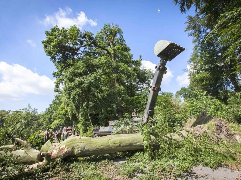 Bundeswehrpioniere helfen in Düsseldorf dabei, von Sturm Ela umgeworfene Bäume zu räumen.