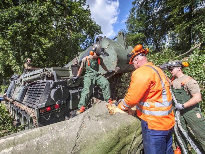 Bundeswehrpioniere helfen in Düsseldorf dabei, von Sturm Ela umgeworfene Bäume zu räumen.
