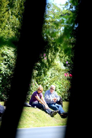 Strahlender Sonnenschein beim NRZ Wandertag 2015 am Baldeneysee.