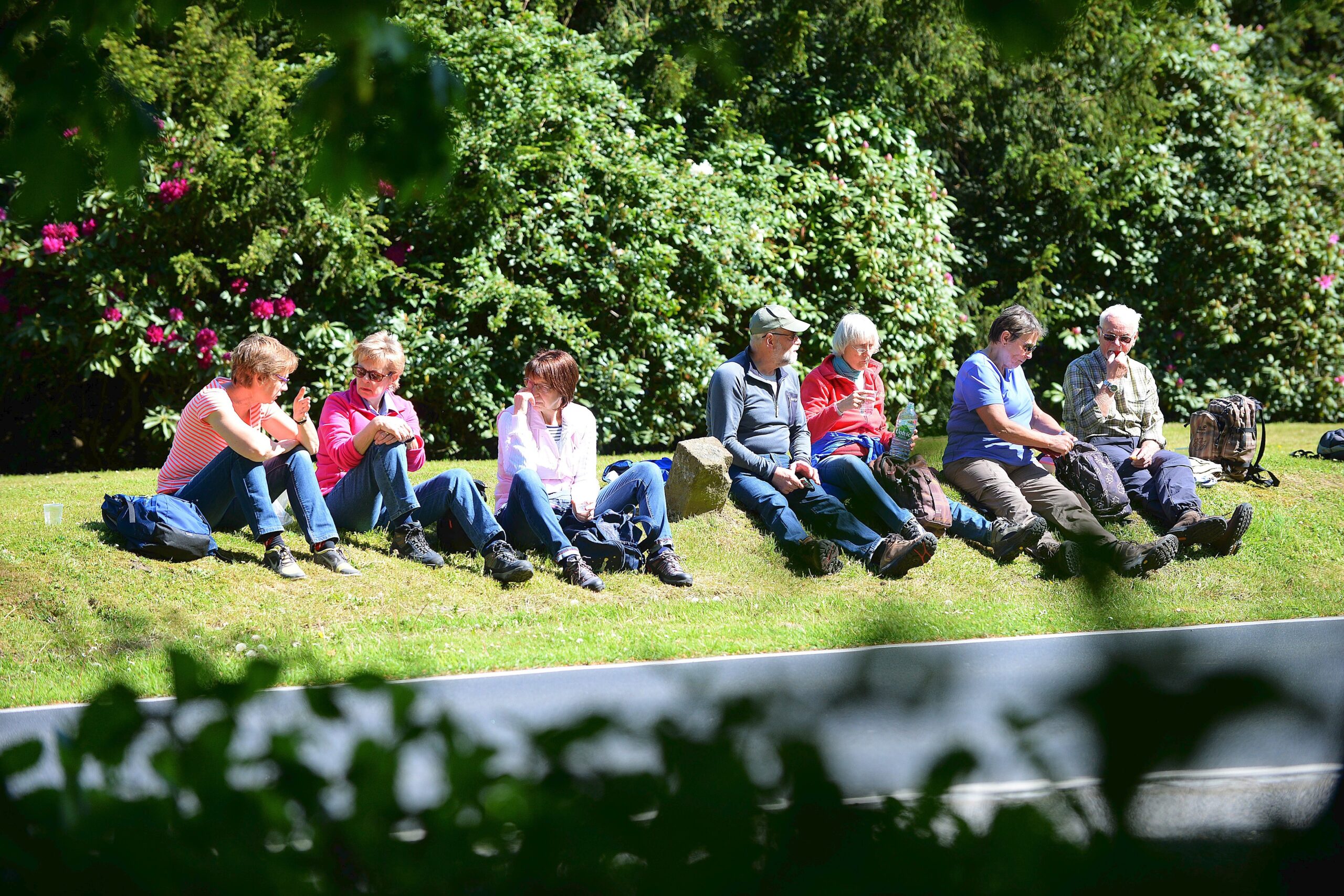 Strahlender Sonnenschein beim NRZ Wandertag 2015 am Baldeneysee.