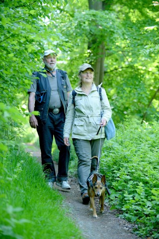 Strahlender Sonnenschein beim NRZ Wandertag 2015 am Baldeneysee.