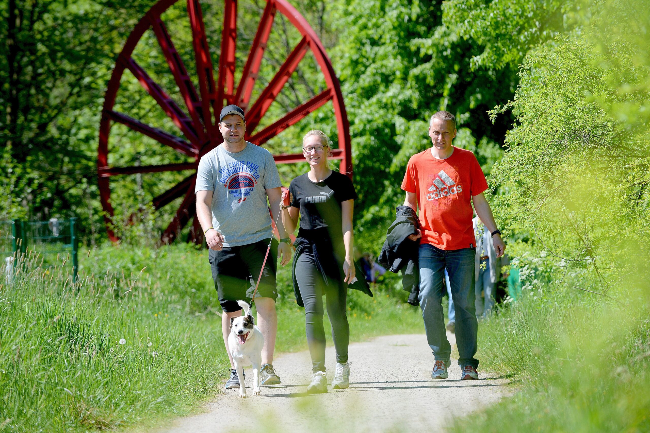 Strahlender Sonnenschein beim NRZ Wandertag 2015 am Baldeneysee.