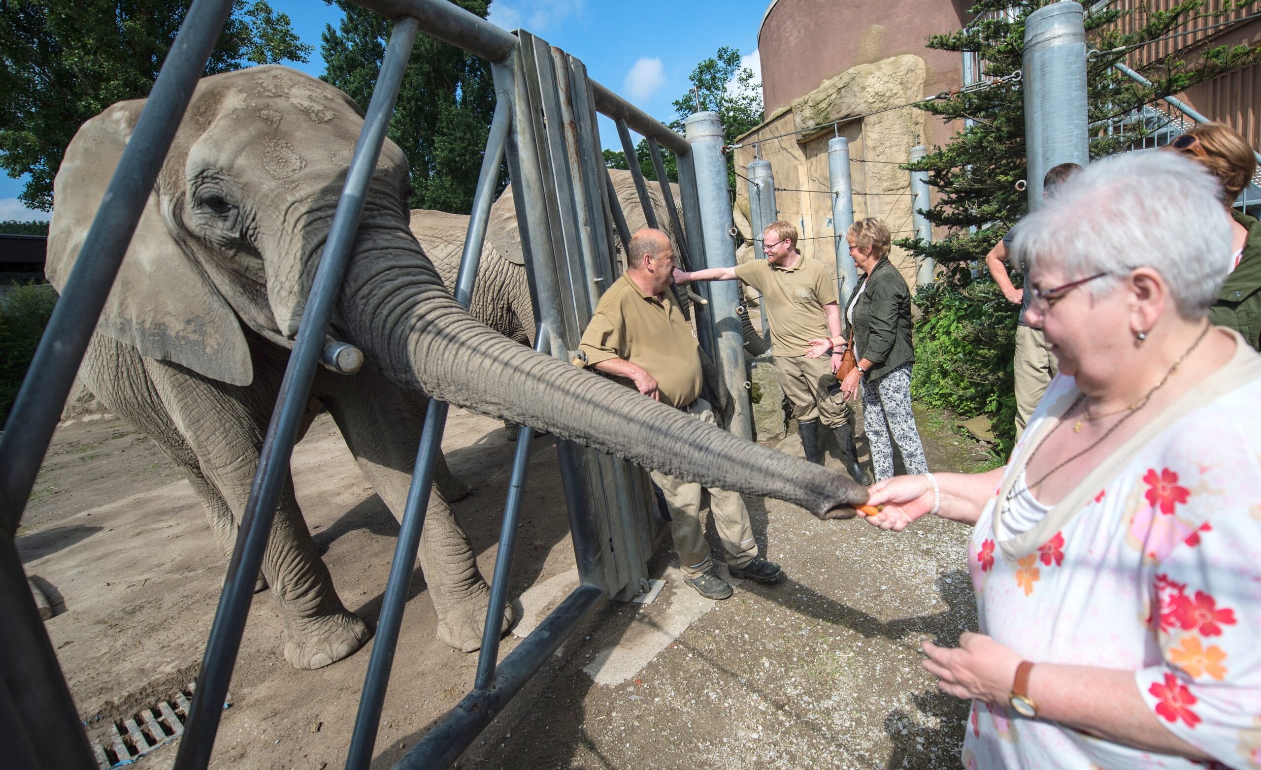 NRZ-Leser blicken im Zoo Duisburg hinter die Kulissen.