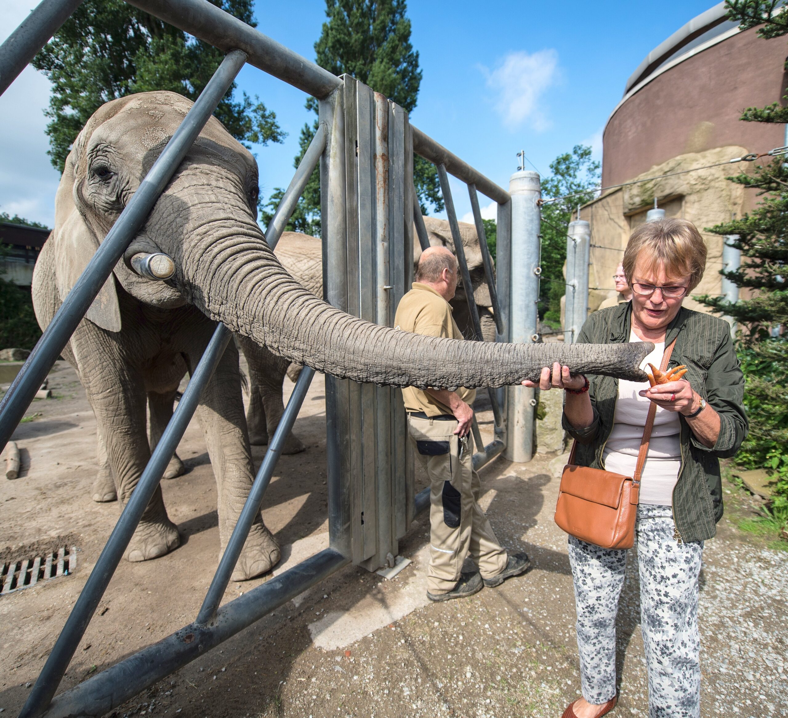 NRZ-Leser blicken im Zoo Duisburg hinter die Kulissen.