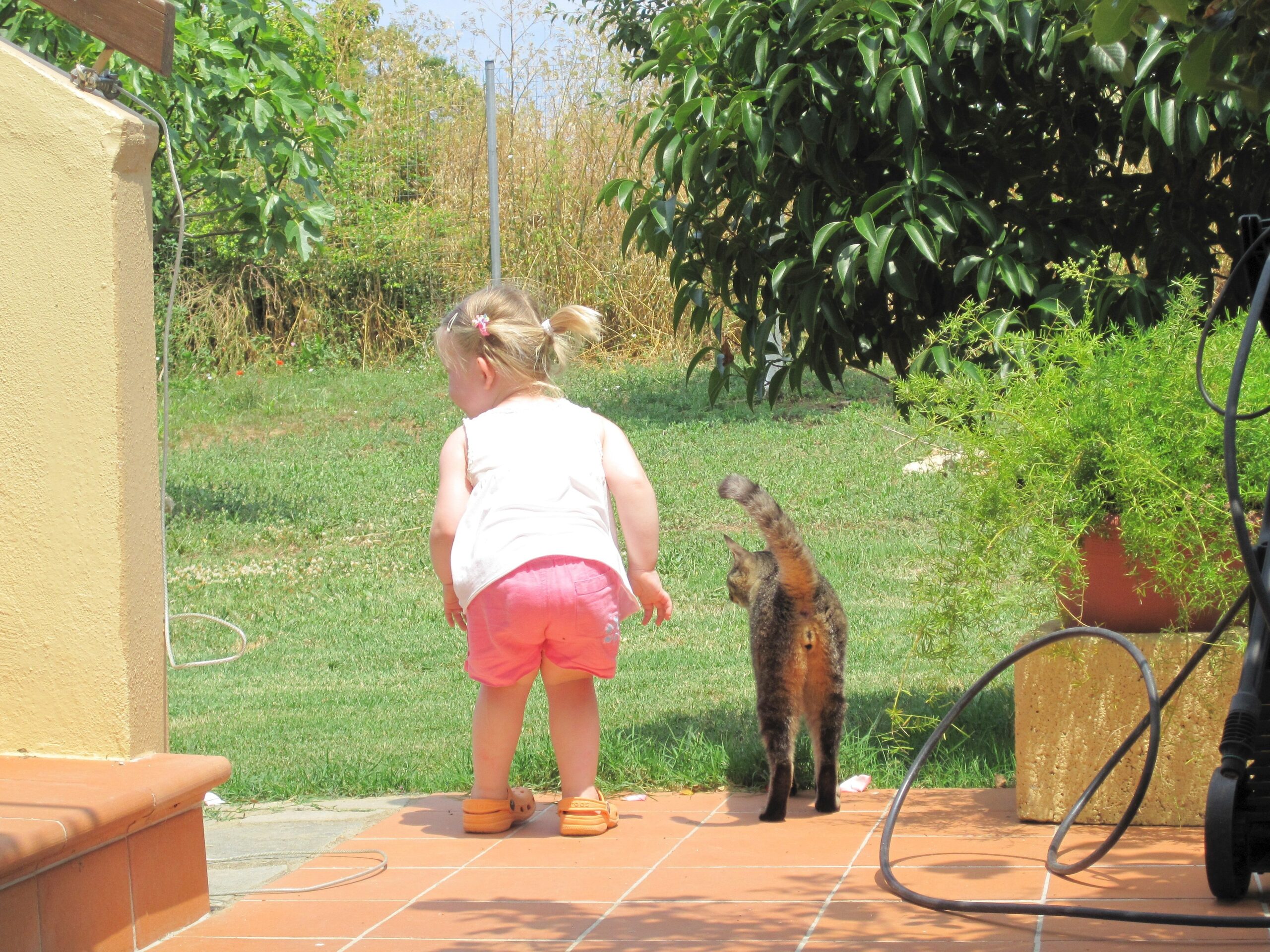 Anja Hartwich: Diese Jahr verbrachten wir mit userer Tochter Mia den perfekten Urlaub in Griechenland. Auf der Anlage lebten 10 Katzen und 3 Hunde.