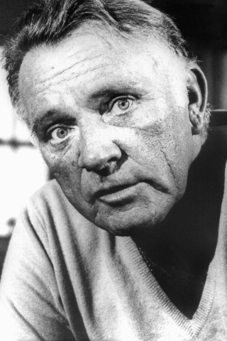 Richard Burton bekam seinen Stern auf dem Walk of Fame posthum. 