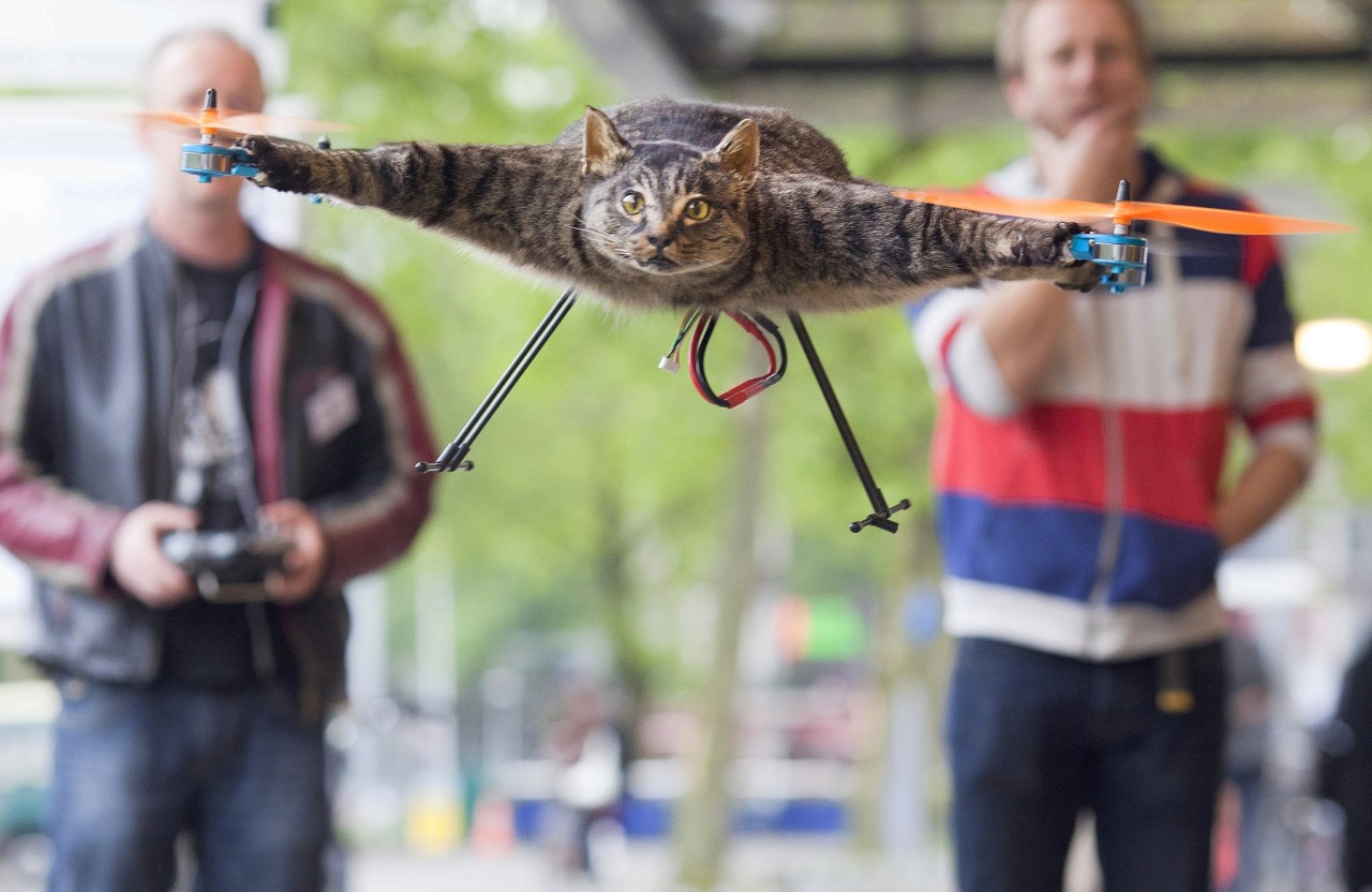Seine Katze hieß Orville, sein Konstrukt heißt „Orvillecopter": Der niederländische Künstler Bart Jansen lässt seine Katze in die Luft gehen. 