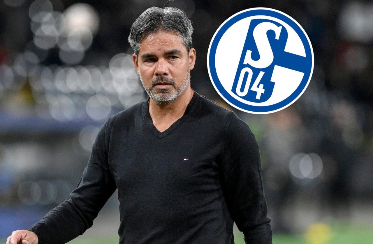 Beim FC Schalke 04 hatte David Wagner von Juli 2019 bis September 2020 unter Vertrag gestanden.