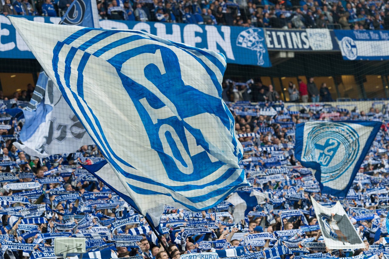 Erst verloren Schalkes Hooligans in Hamburg auf dem "Acker", dann verlor das Team auf dem Platz.
