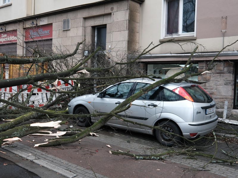 Herabfallende Äste beschädigten Autos.