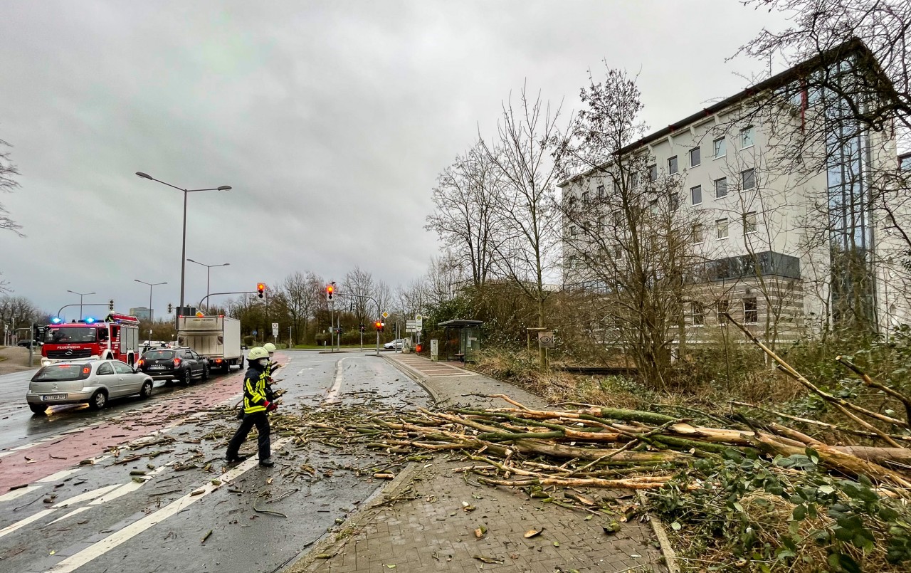 Sturm Zeynep wütet am späten Freitagnachmittag auch in Bochum. 