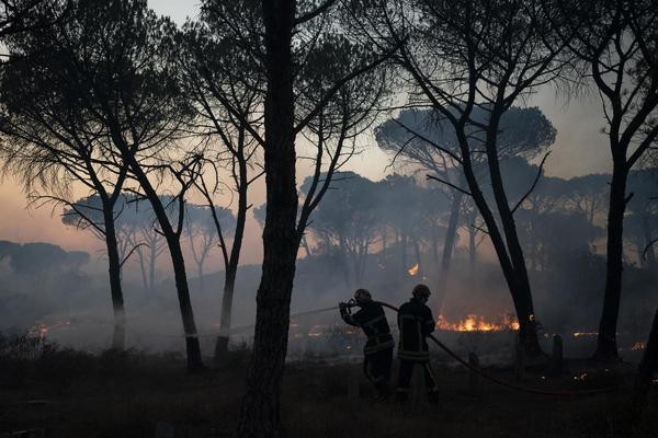 Le Luc: Feuerwehrleute bei den Löscharbeiten eines Waldbrandes in Südfrankreich. 