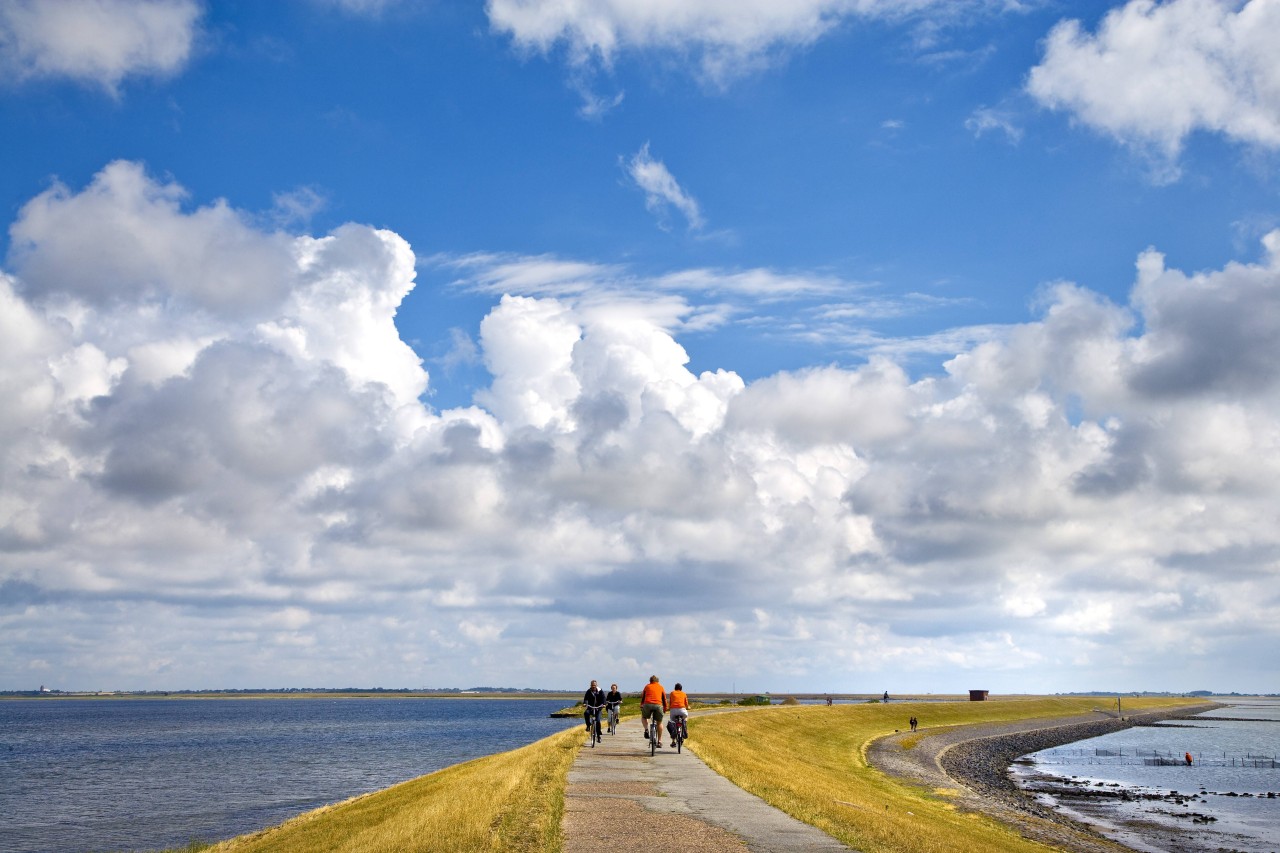 Urlaub an der Nordsee: Viele Urlauber nutzen die freie Zeit für eine Radtour. 