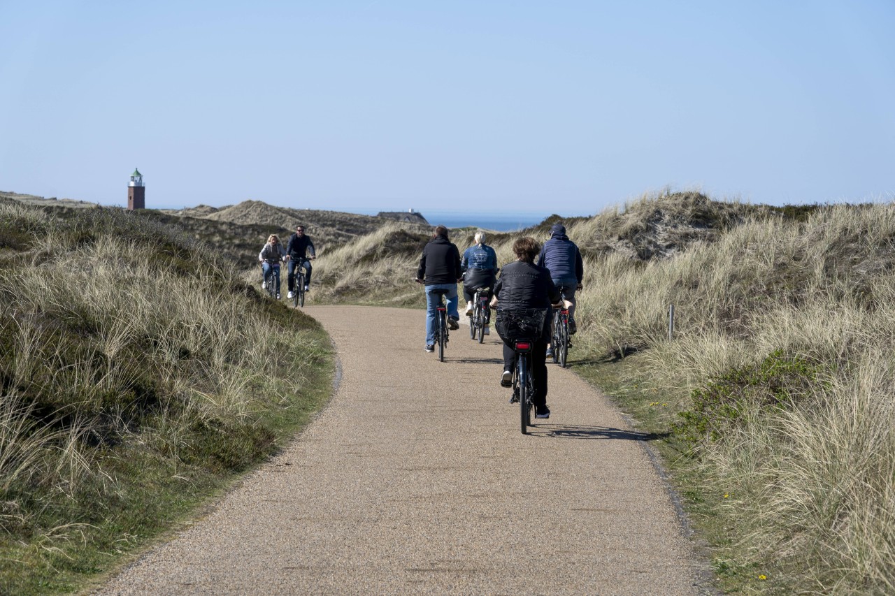 Urlaub an der Nordsee: Einige Insel-Fans sind über bestimmte Verhaltensweisen von Radfahrern gar nicht erfreut. (Symbolbild)