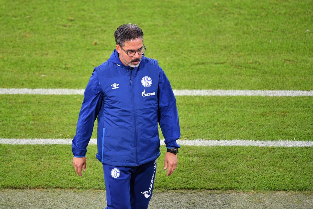 David Wagner war bereits auf Schalke gescheitert. Nun verlor er auch in Bern seinen Trainerjob.