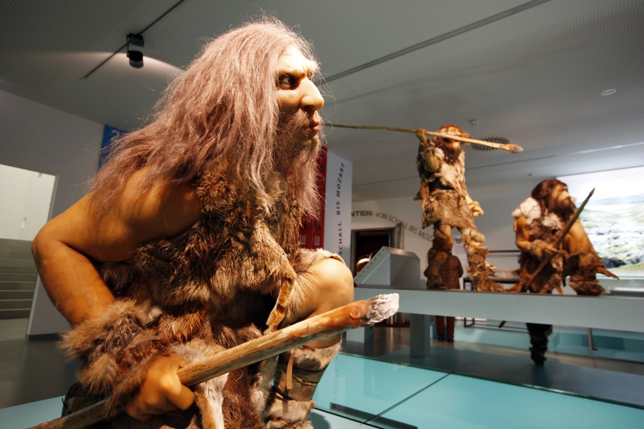 Wissenschaft: Ausstellung mit Neandertalern. (Symbolbild)