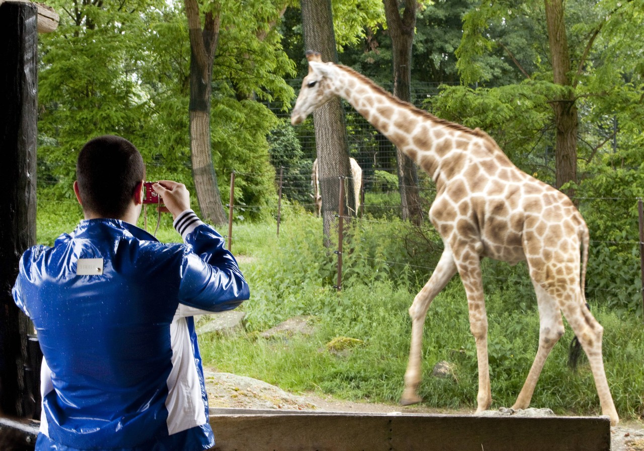 Wegen des Unwetters musste der Zoo Dortmund seine Tiere in Sicherheit bringen. (Archivfoto)