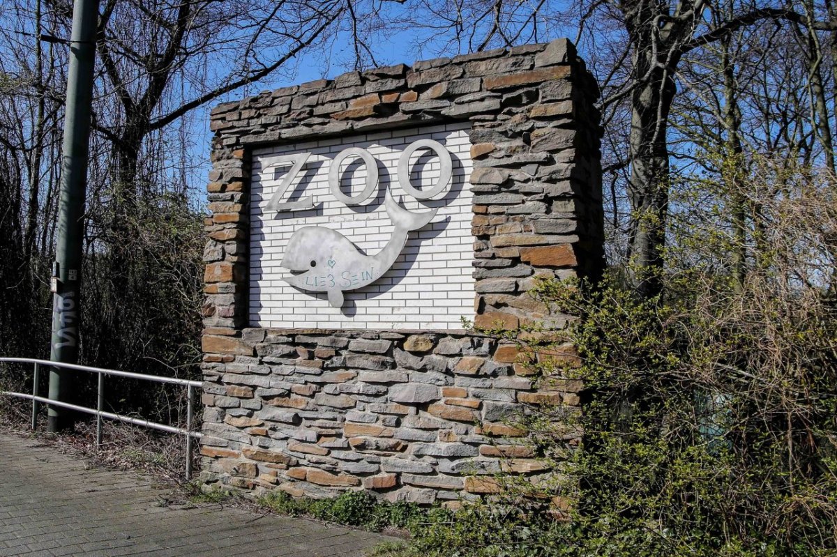 zoo duirburg .jpg