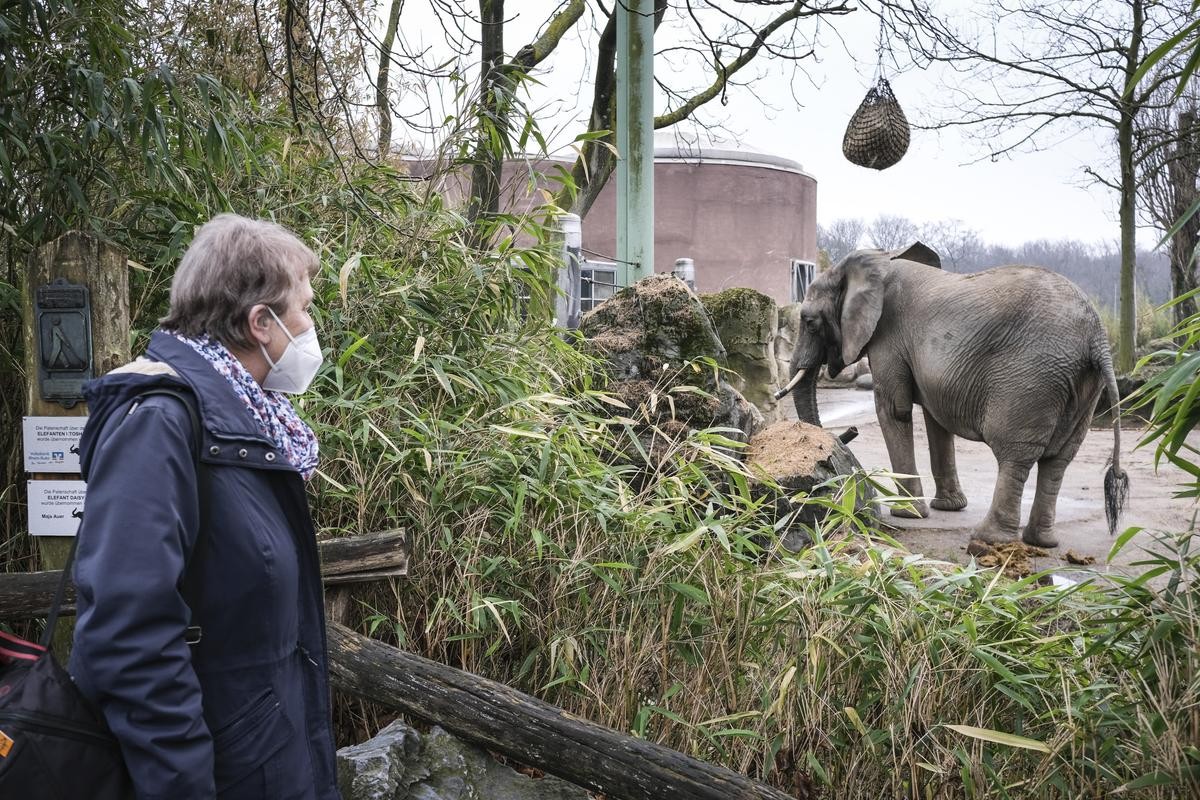 Muss sich der Zoo Duisburg bald von den Elefanten verabschieden? 