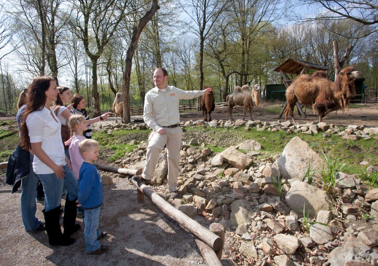 Die Zoom Erlebniswelt Gelsenkirchen hat tolle Neuigkeiten