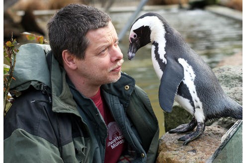 Pinguindame Sandy aus Münster trat in verschiedenen TV-Shows auf. Ihr Ziel: So bekannt werden wie...