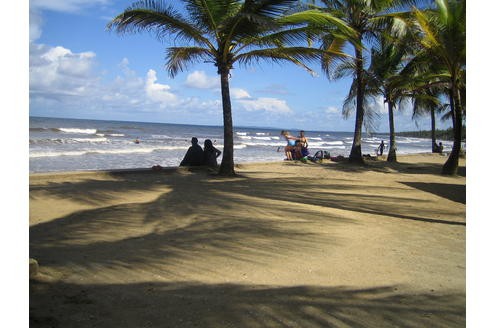 Sonne, Meer und Palmen: Die Manzanilla Bay an der Ostküste Trinidads ist ein wahrer Urlaubstraum.