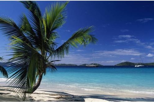 Auf den Amerikanischen Jungferninseln ist der Strand blütenweiß und das Meer türkisblau...