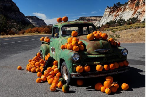 Leserkalender 2011 Gewinner Motive Oktober: Für Halloween gerüstet: Dieser alte, verrostete Kürbis-Laster an der Zufahrt zum Zion Nationalpark in Utah ist überfüllt mit seiner Fracht. Foto: Martin Fleckenstein
