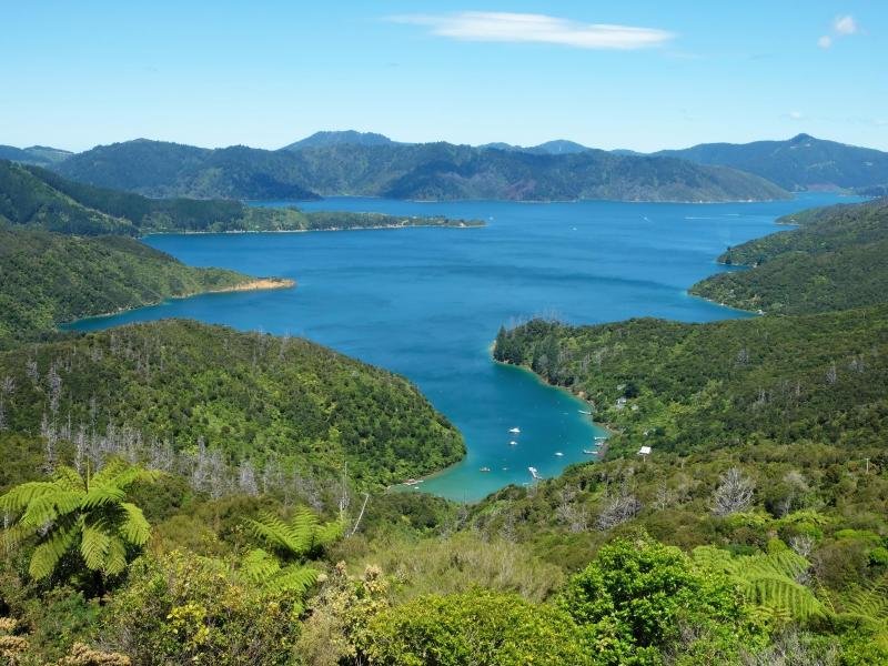 2022 könnte es wieder soweit sein: Neuseeland plant, seine Grenzen Anfang des Jahres wieder für Touristen zu öffnen.