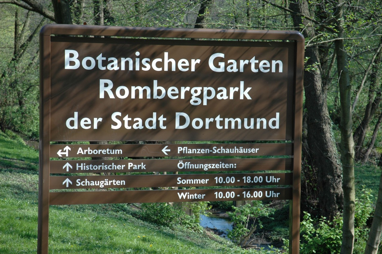 Ein besonderer Moment im Botanischen Garten Rombergpark in Dortmund.