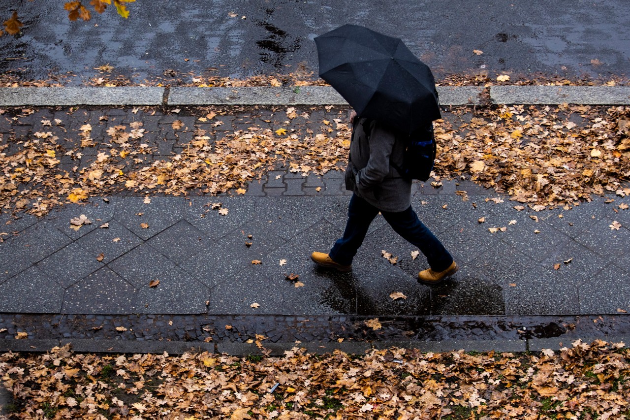 Der Herbst hat offenbar endgültig Einzug in NRW gehalten – und bestimmt auch das Wetter in den nächsten Tagen. (Symbolbild)