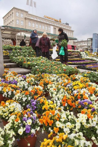 Im Trend liegen laut Mechthild Wember sowohl einfarbig gehaltene Gärten als auch bunt gesprenkelte Blumenbeete.