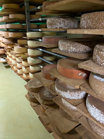 Bis zu 15 verschiedene Käsesorten werden pro Jahr in der Alp Chäserenholz erstellt.  
