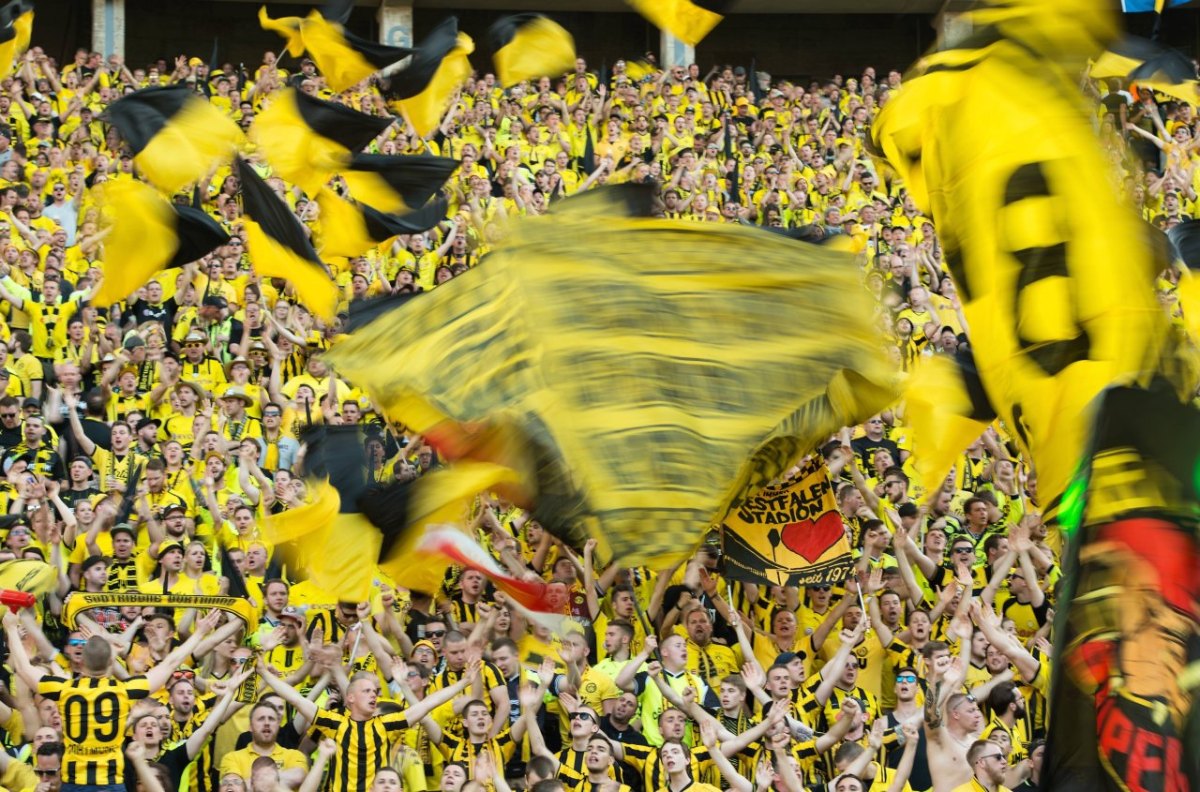 BVB Borussia Dortmund Fans