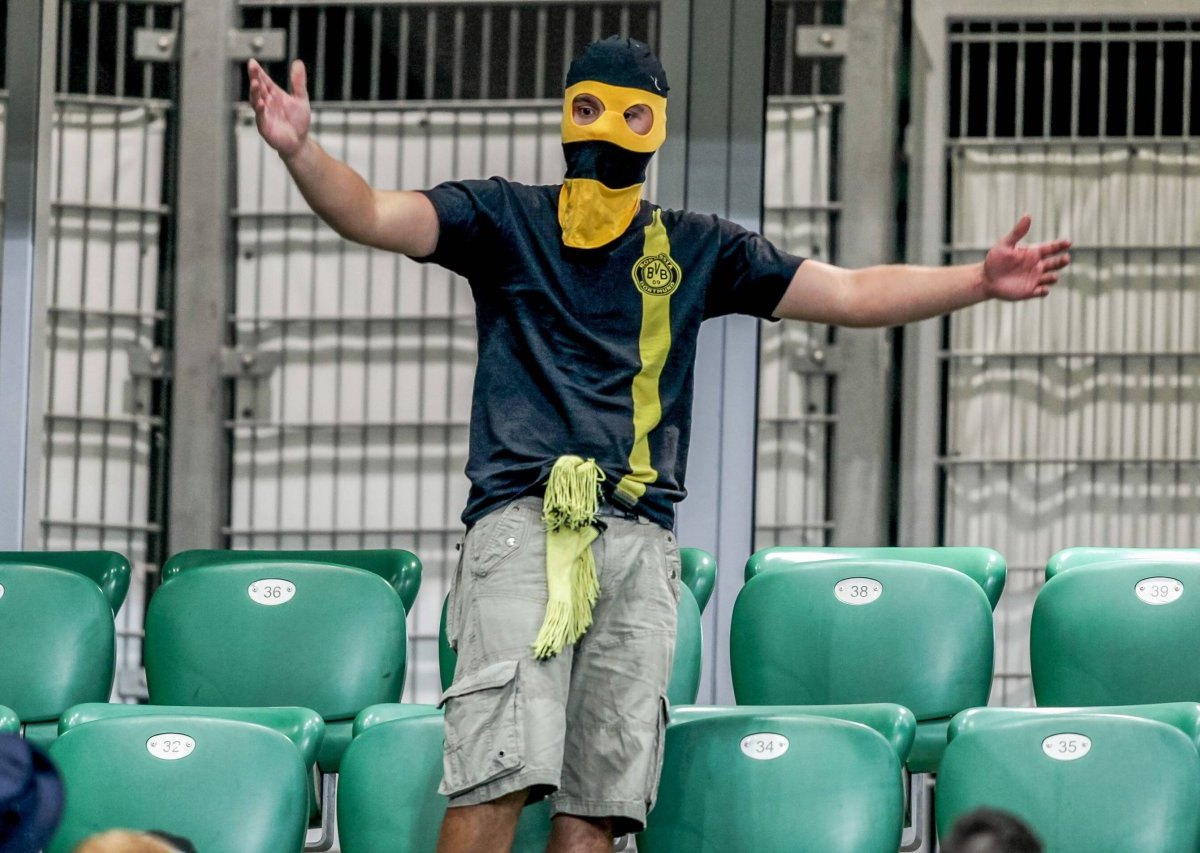 BVB Borussia Dortmund Hooligans VfL Wolfsburg