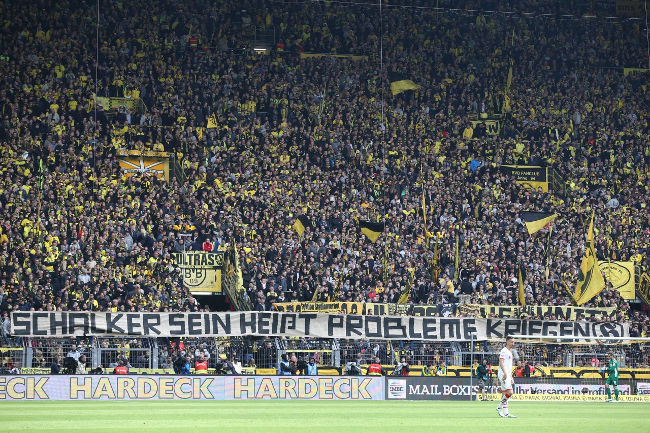 Auf einem Plakat der Riots hieß es einst: "Schalker sein heißt Probleme kriegen!"