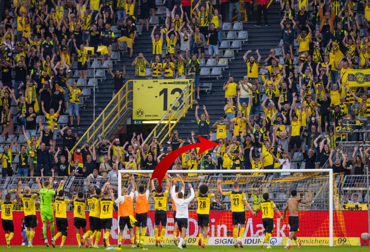 Borussia Dortmund: Ein Fan sorgt auf der Tribüne für eine dreiste Szene.