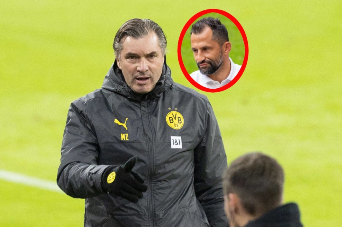 BVB-Zorc-Salihamidzic.jpg