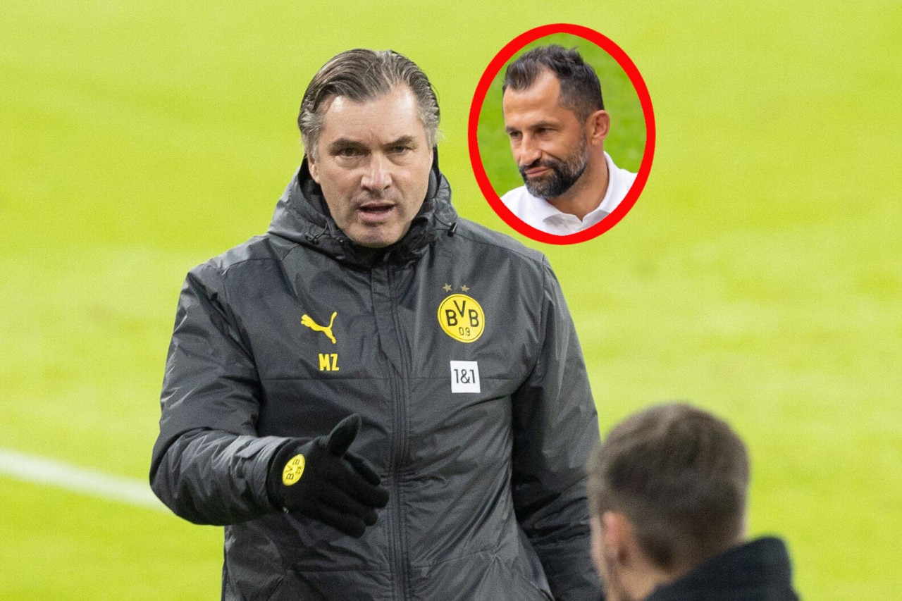 Borussia Dortmund: Michael Zorc schießt gegen Hasan Salihamidzic.