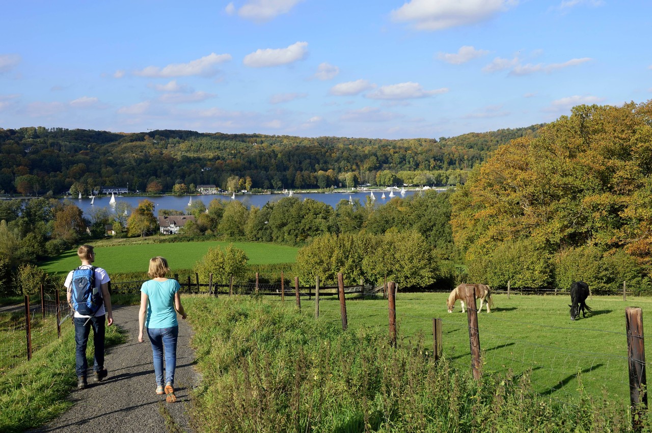 In Essen findest du außerdem einen Rund 27 Kilometer langer Wanderweg, den Baldeney Steig.