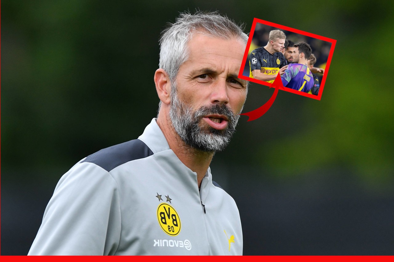 Borussia Dortmund: Marco Rose macht Fans mit diesen Aussagen Hoffnung. 