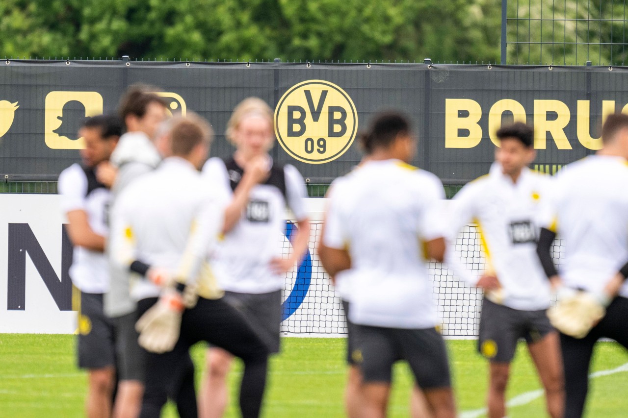 Borussia Dortmund bestreitet in Kürze die erste Trainingseinheit und Fans können dabei sein! 