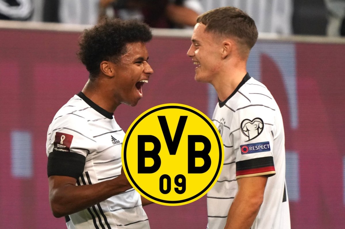 Borussia Dortmund Adeyemi BVB