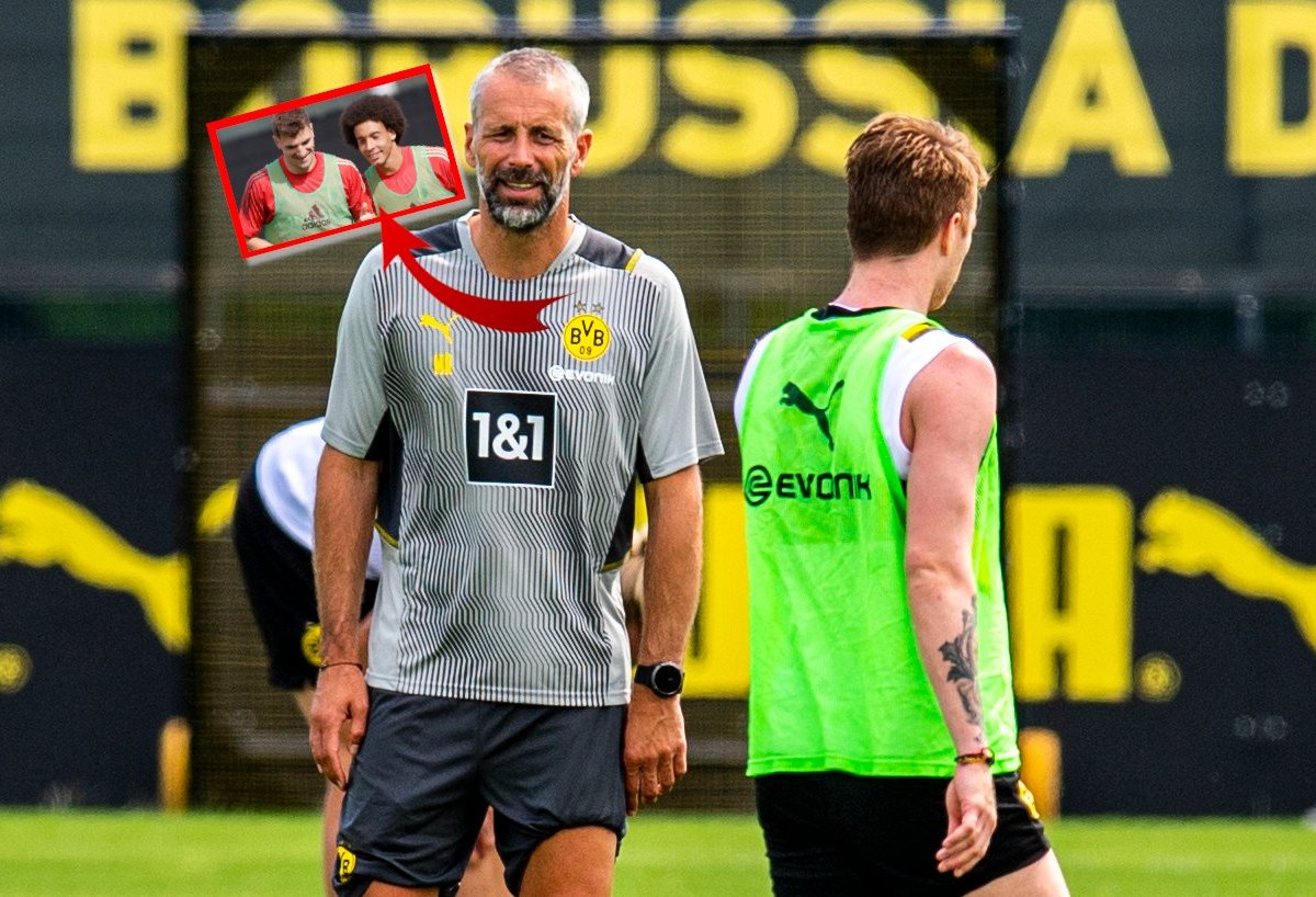 Borussia Dortmund Rose.jpg