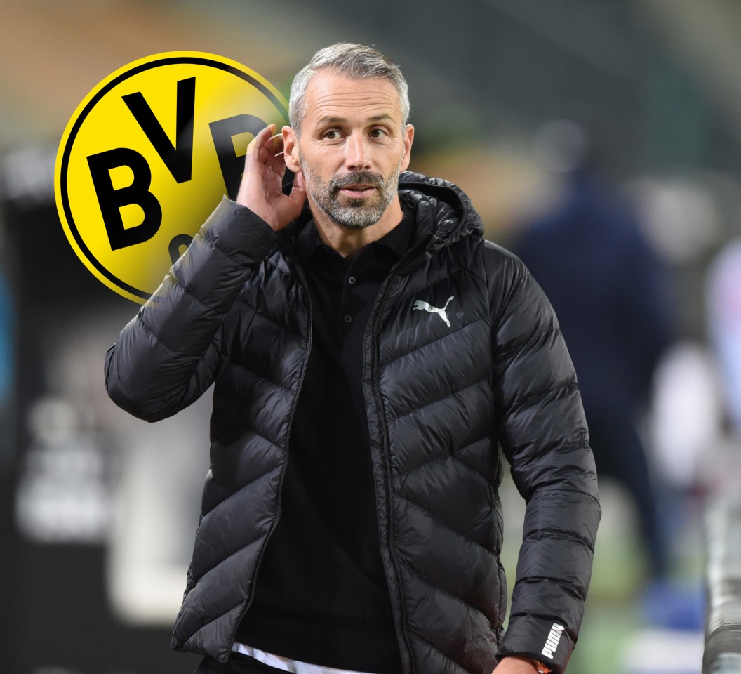 Borussia Dortmund: Das dürfte Marco Rose gar nicht gefallen.