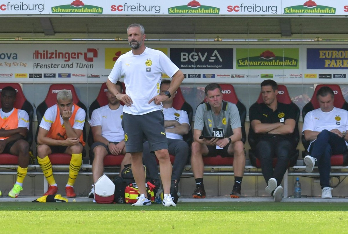 Borussia-Dortmund-Rose