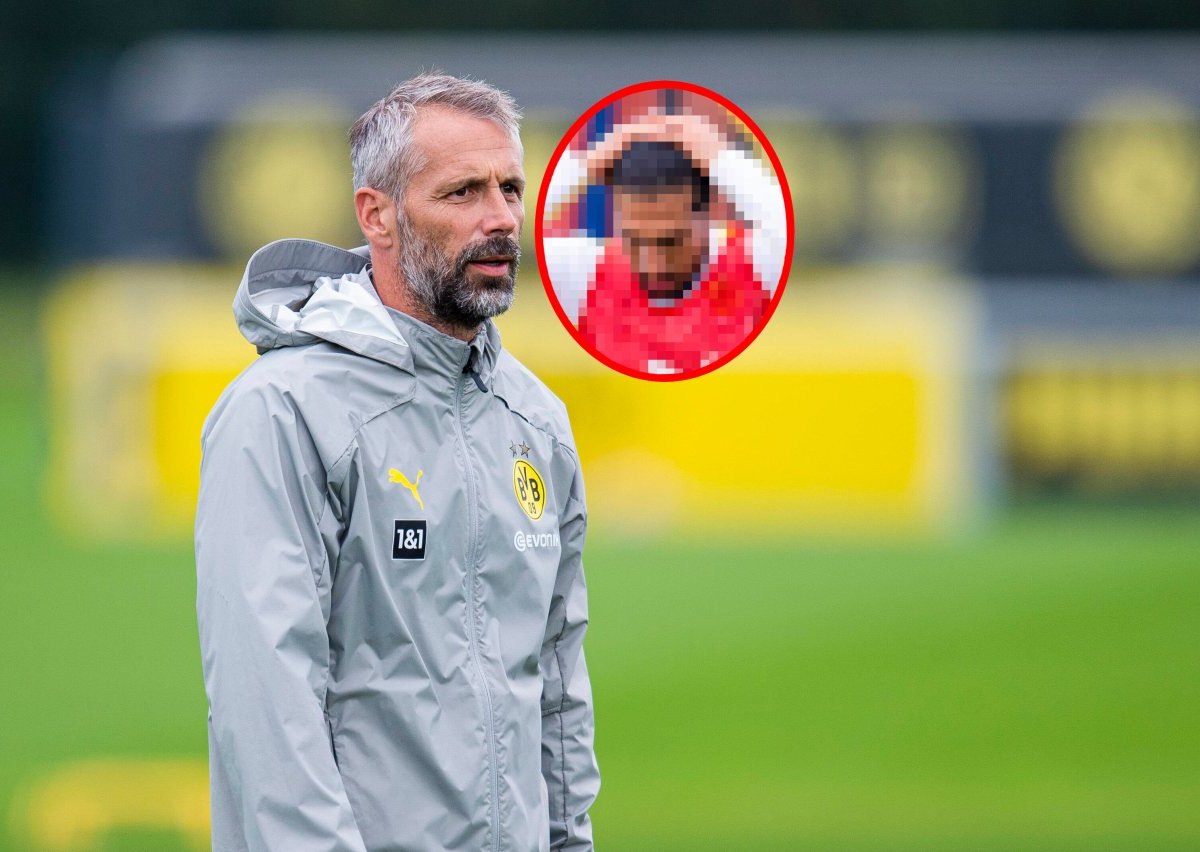 Borussia Dortmund Rose.jpg