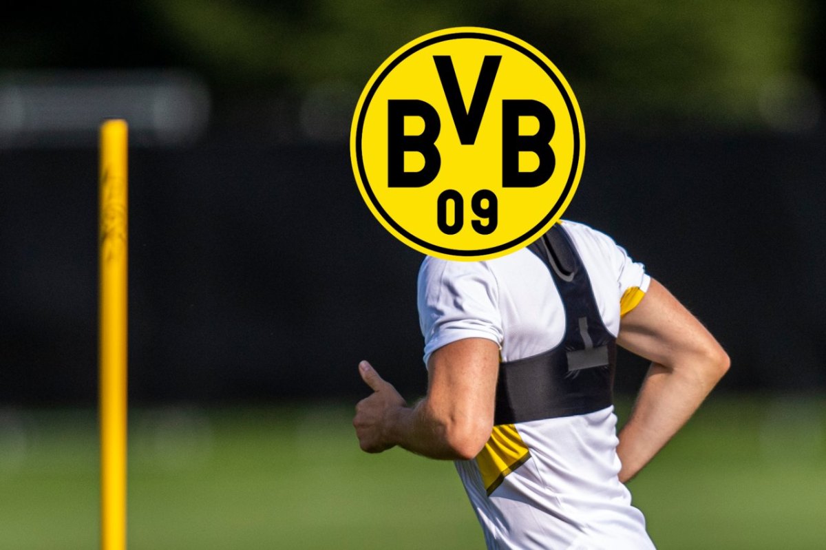 Borussia Dortmund Schmelzer.jpg