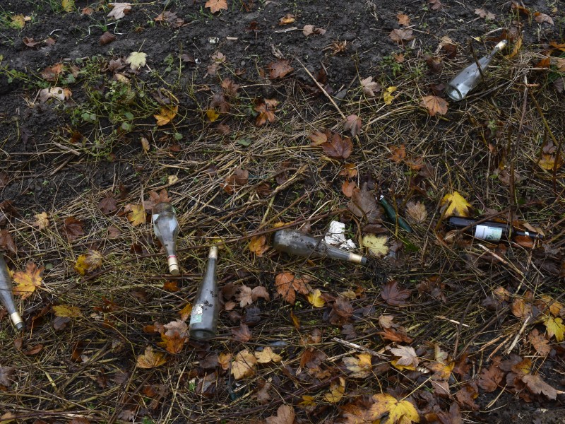 Im Graben neben dem Feldweg liegen unzählige Glasflaschen.