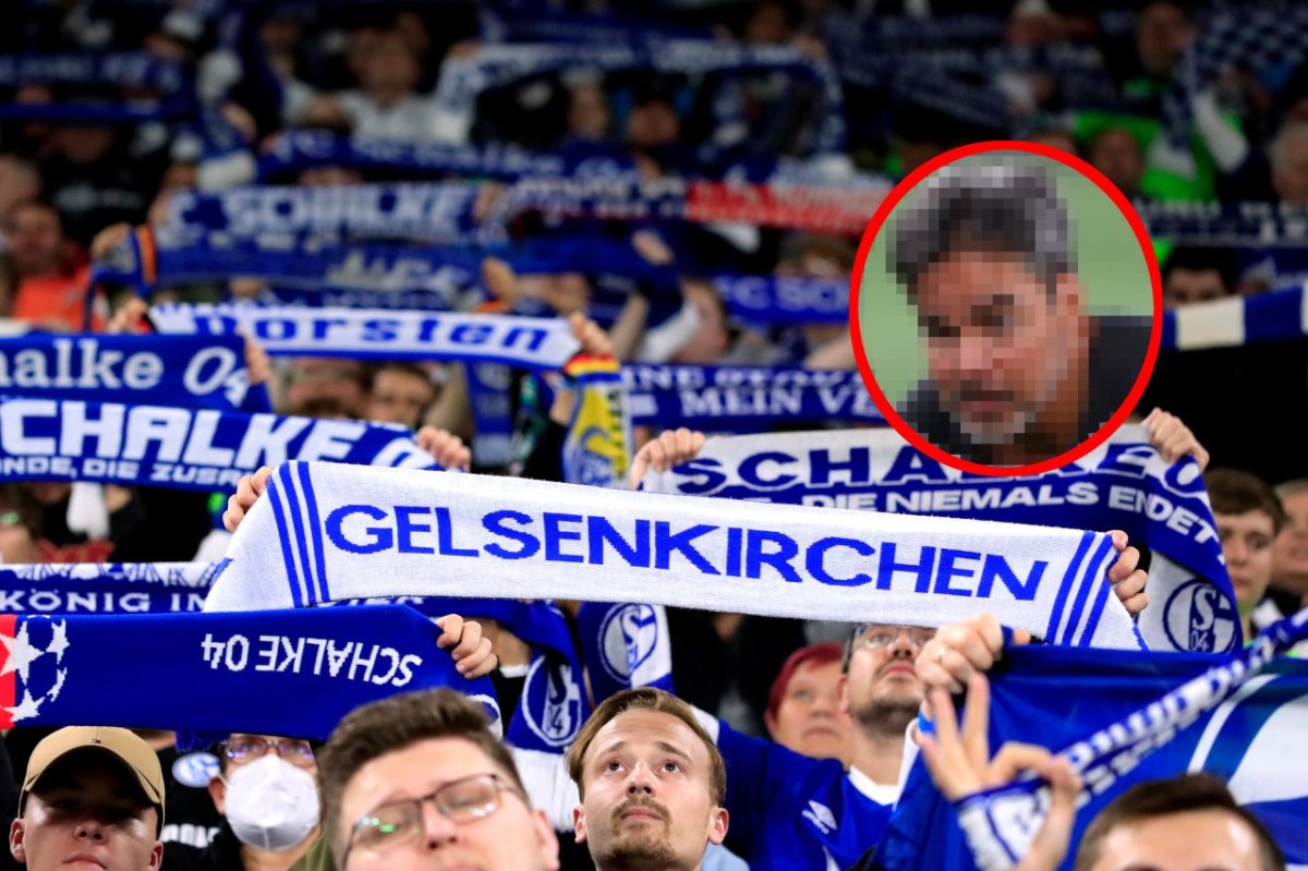 David Wagner FC Schalke 04.jpg